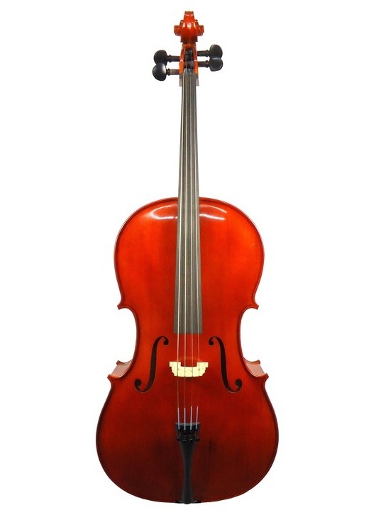 Gliga III 3/4 Size Cello Outfit