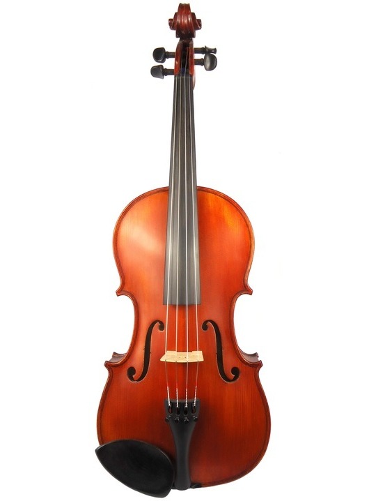 Gliga II 16