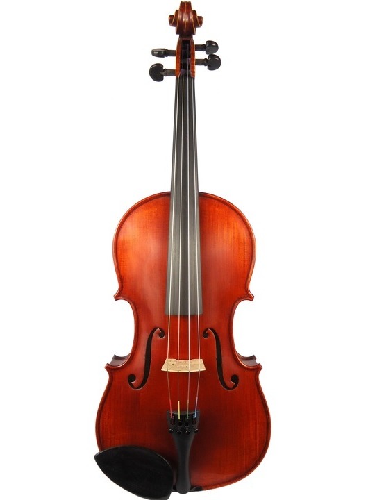 Gliga Superior 15.5