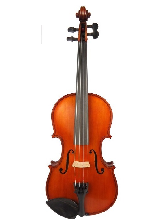 Gliga III Violin Outfit
