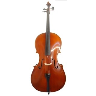 Schroeder #100 Cello