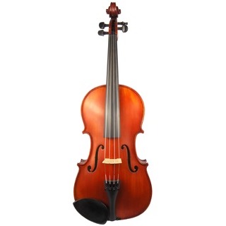 Gliga II 16
