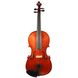 Gliga I 15.5
