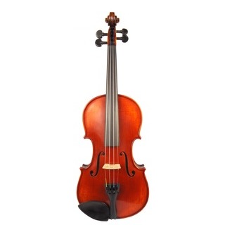 Gliga Vasile Maestro Extra Violin