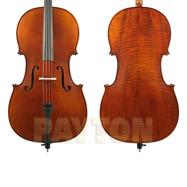 Gliga Vasile Advanced Cello